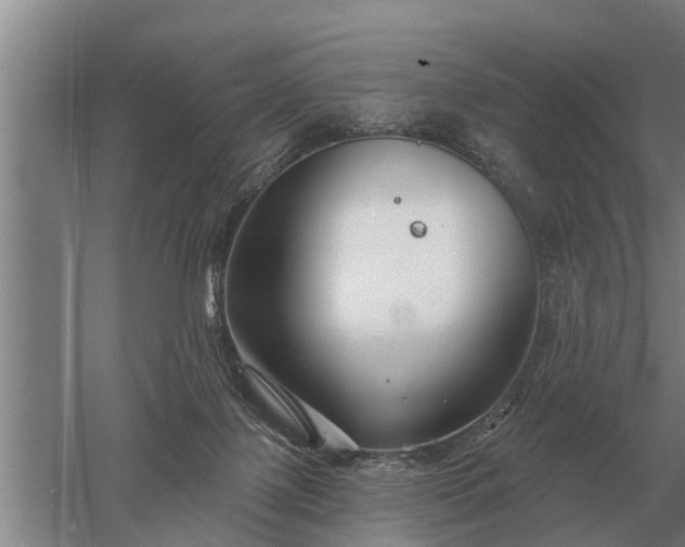 X0000052980075200507151839