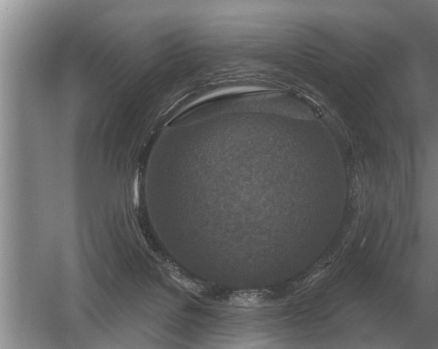 X0000052980076200507151839