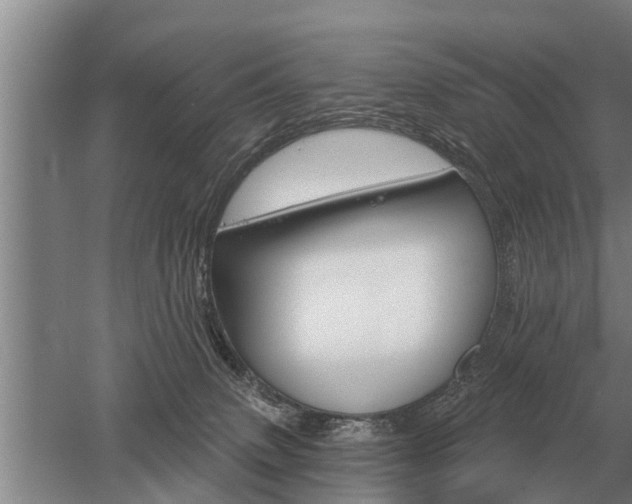 X0000052980083200507151839