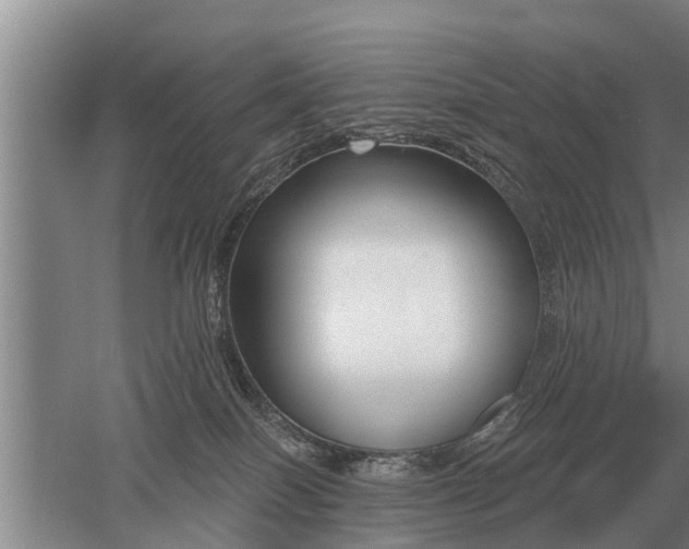 X0000052980086200507151839