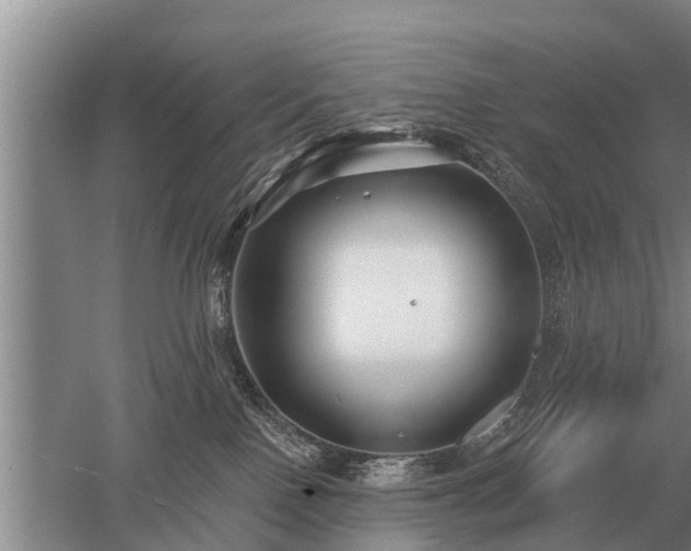 X0000052980090200507151839