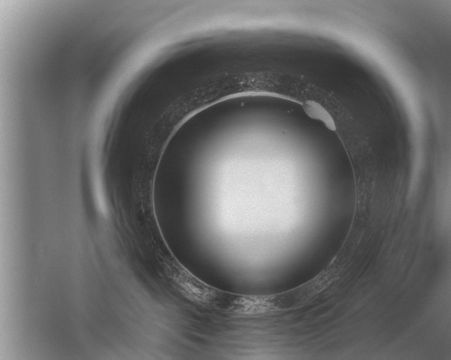 X0000052980093200507151839