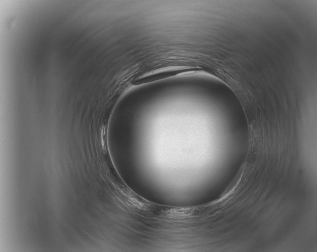 X0000052980094200507151839