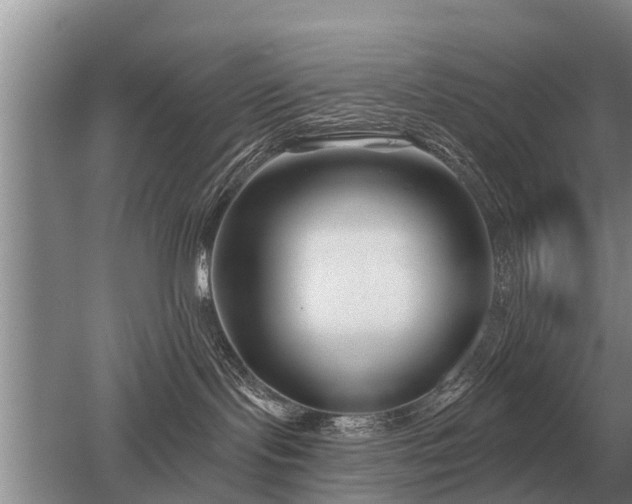 X0000052980095200507151839