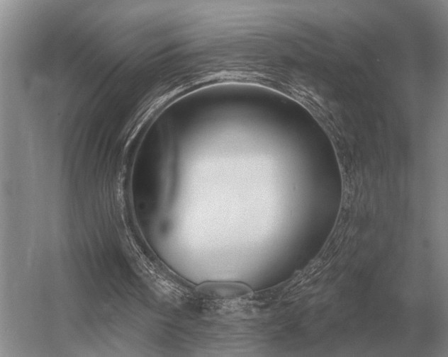 X0000052980098200507151839