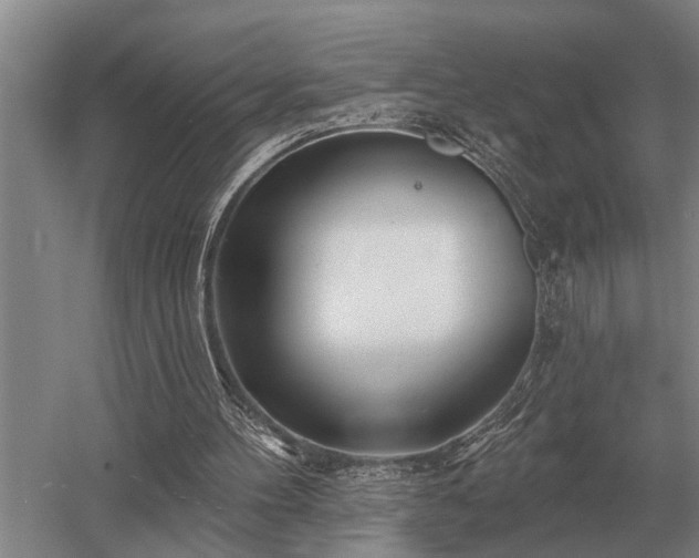 X0000052980100200507151839