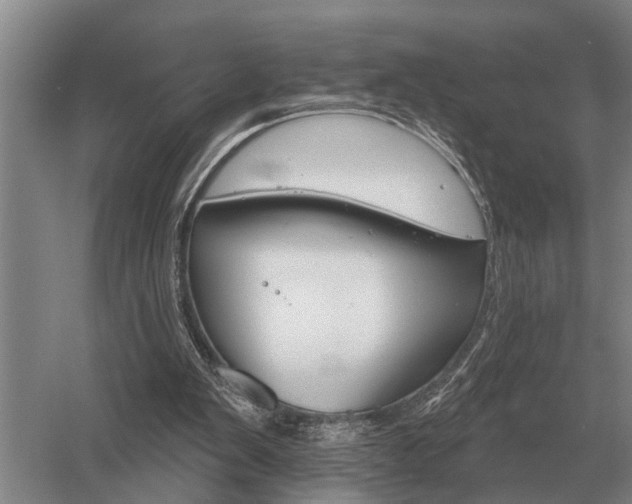 X0000052980103200507151838