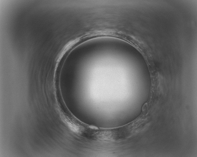 X0000052980104200507151838