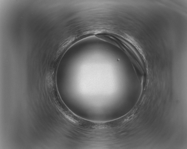 X0000052980105200507151838