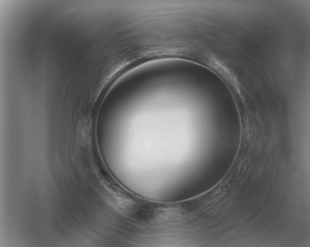 X0000052980107200507151838