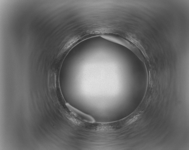 X0000052980109200507151838