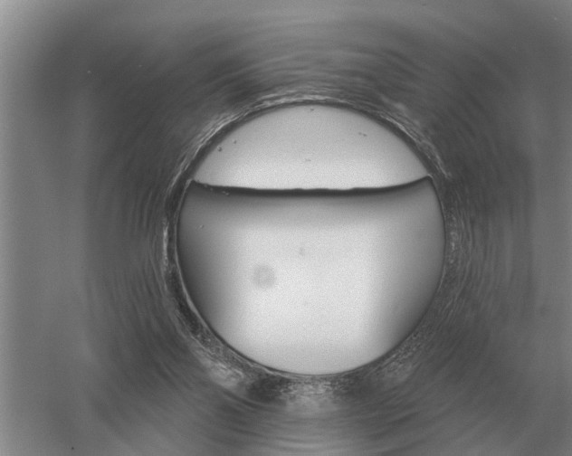 X0000052980110200507151838