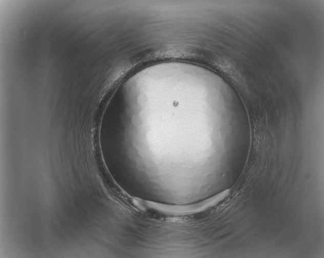 X0000052980111200507151838