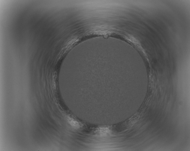 X0000052980114200507151838