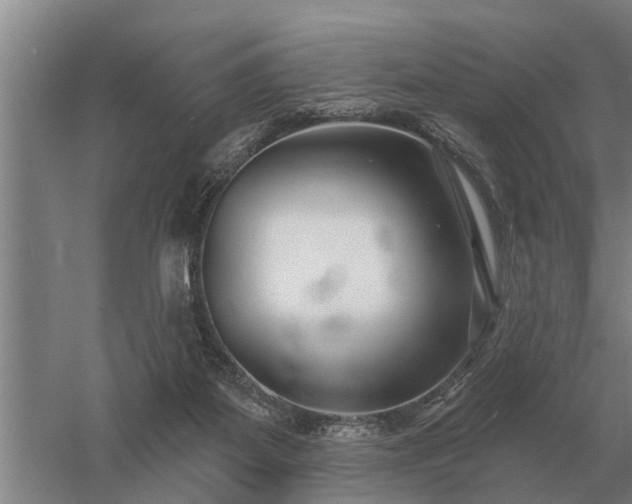 X0000052980115200507151838