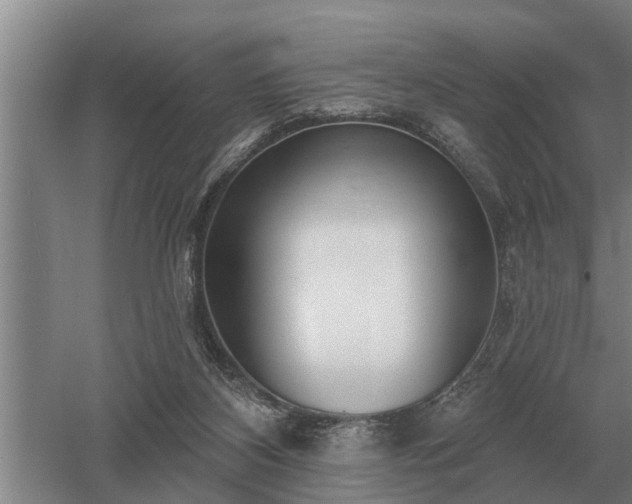 X0000052980116200507151838