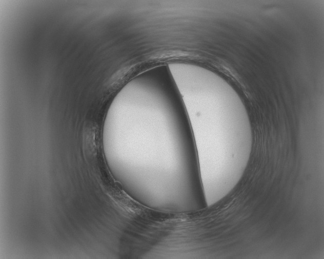 X0000052980119200507151838