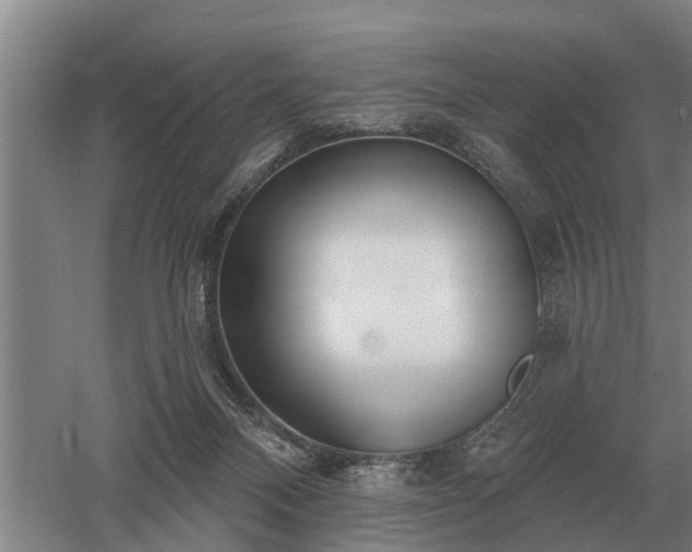 X0000052980120200507151838