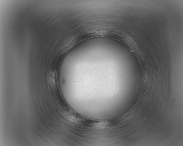 X0000052980122200507151838