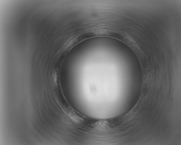 X0000052980124200507151838