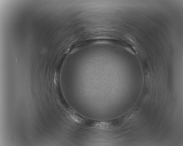 X0000052980125200507151838