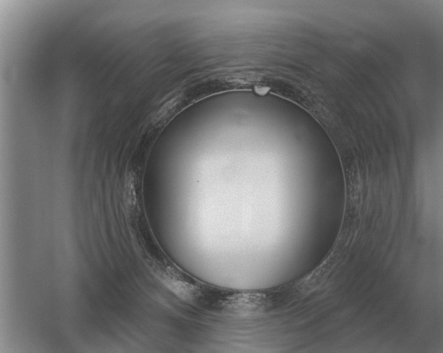 X0000052980128200507151838