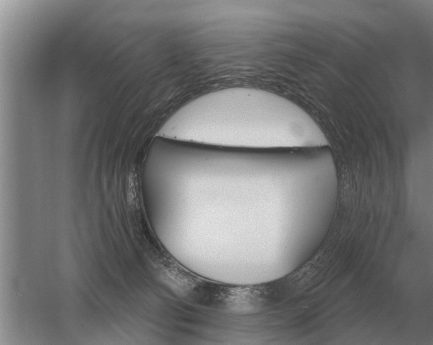 X0000052980130200507151838