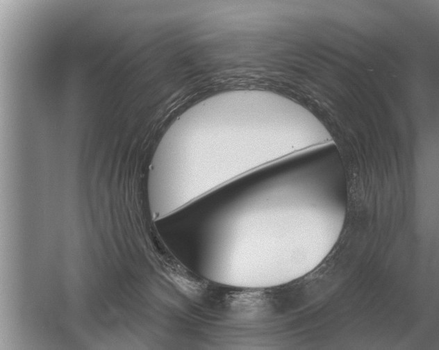 X0000052980132200507151838