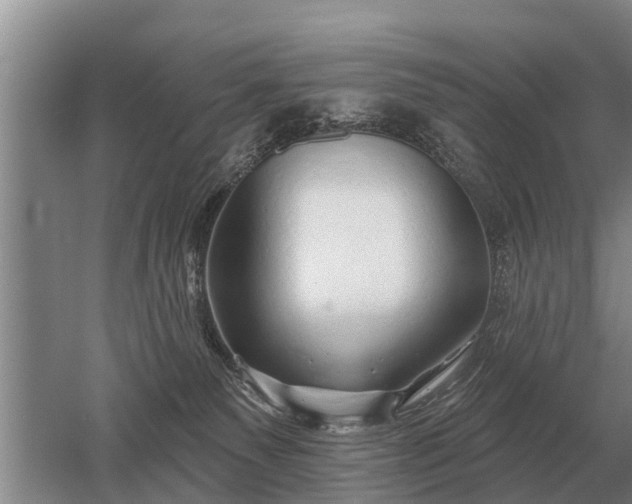 X0000052980135200507151838