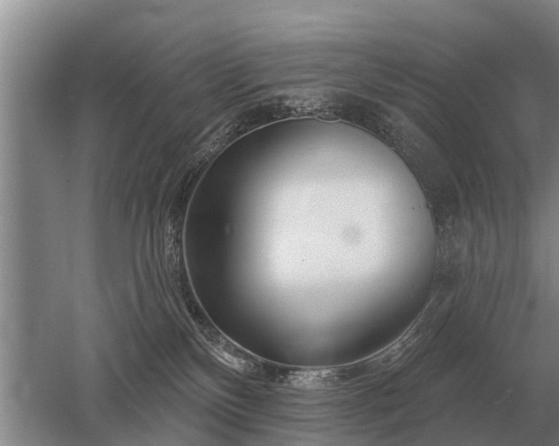 X0000052980136200507151838