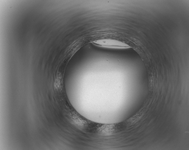 X0000052980138200507151838