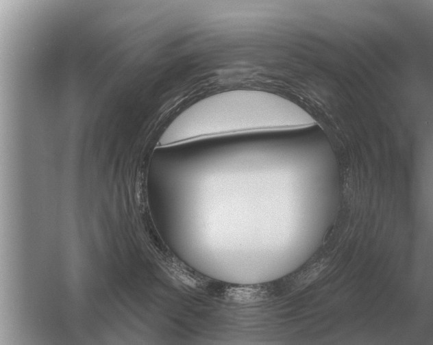 X0000052980139200507151838