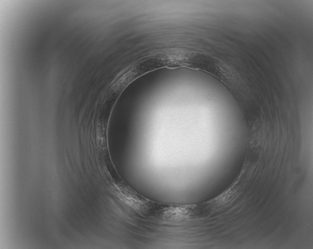 X0000052980140200507151838