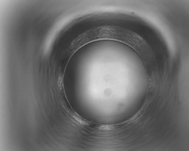 X0000052980142200507151838