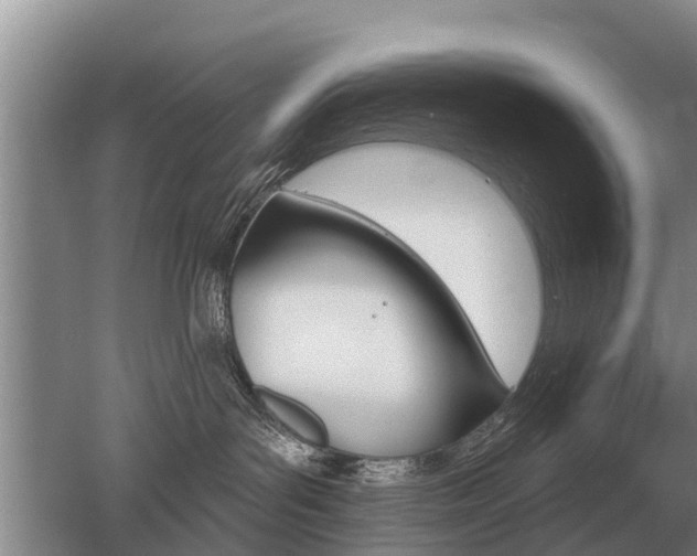 X0000052980143200507151838