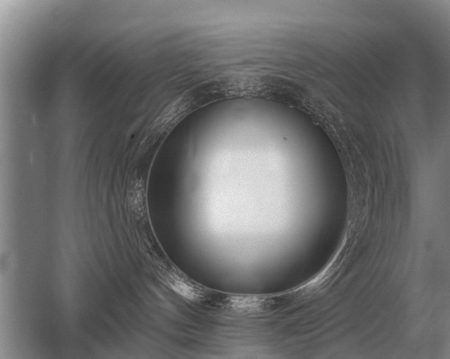 X0000052980144200507151838