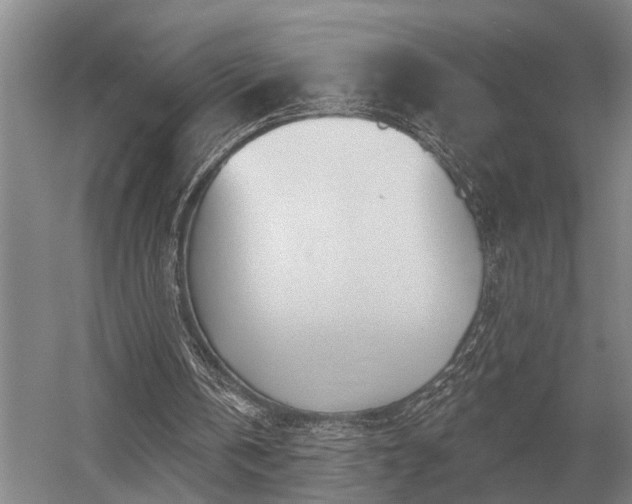 X0000052980146200507151837