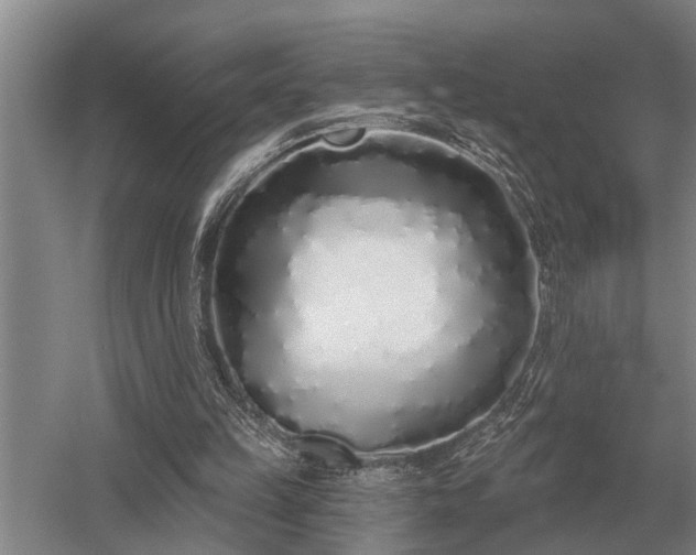 X0000052980149200507151837