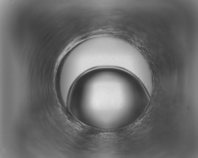 X0000052980150200507151837