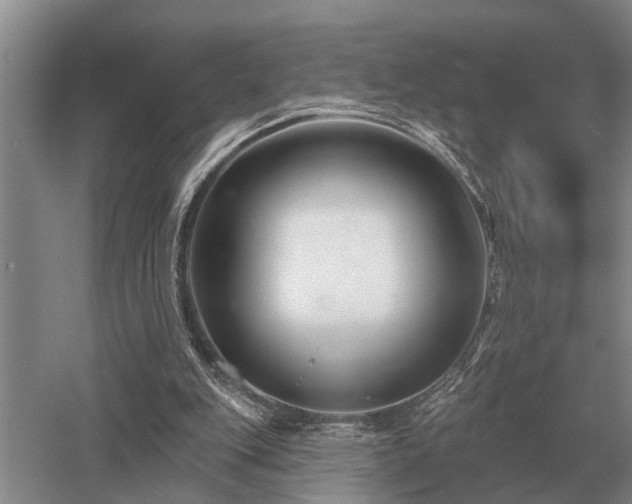 X0000052980151200507151837