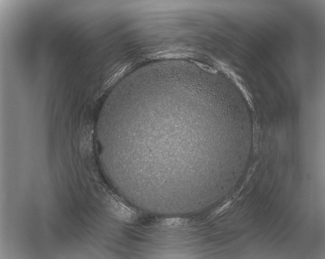 X0000052980153200507151837