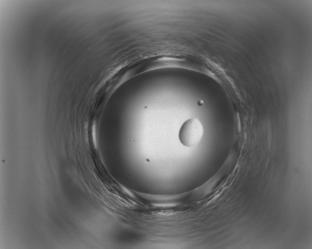 X0000052980154200507151837