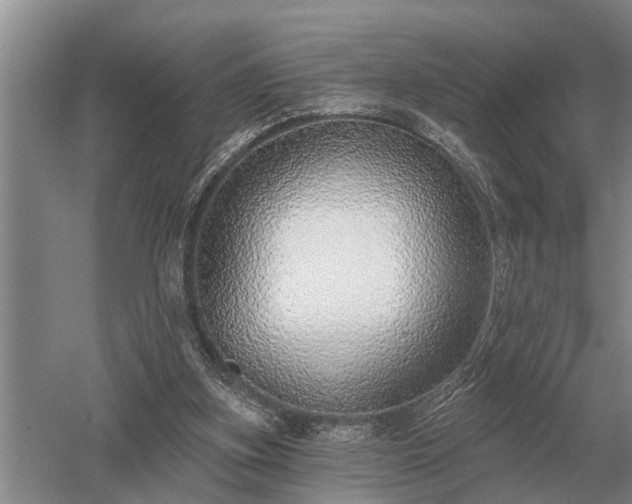 X0000052980155200507151837