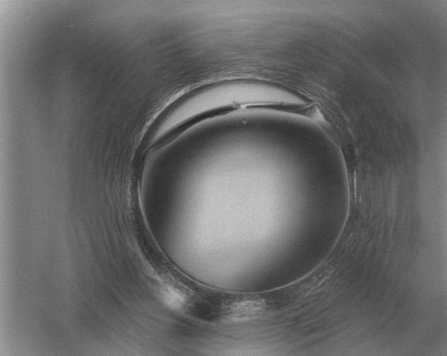 X0000052980156200507151837