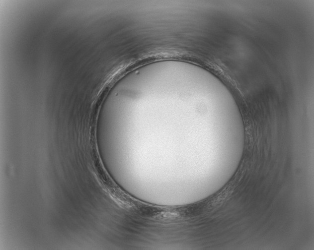 X0000052980159200507151837