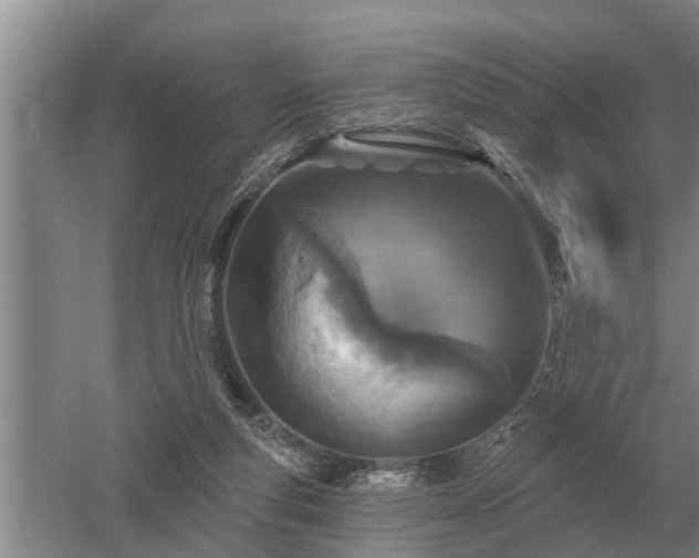 X0000052980163200507151837