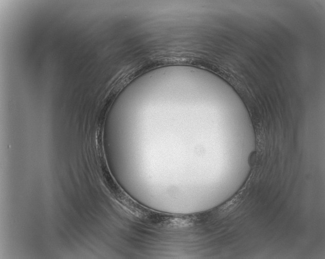 X0000052980166200507151837