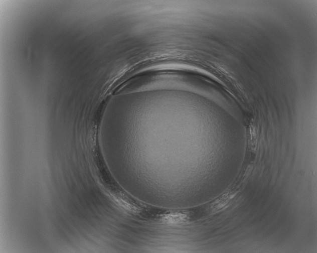 X0000052980168200507151837