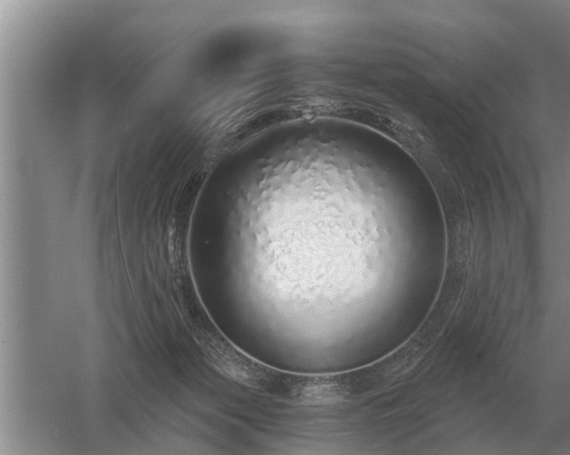 X0000052980173200507151837