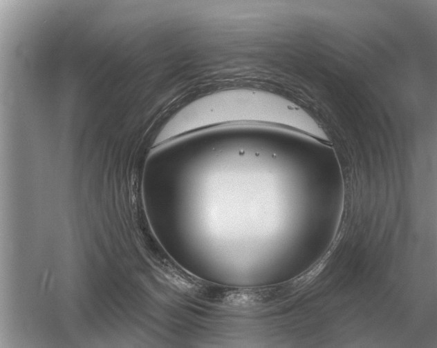 X0000052980174200507151837